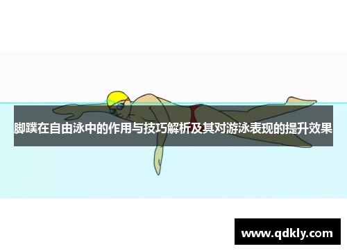 脚蹼在自由泳中的作用与技巧解析及其对游泳表现的提升效果