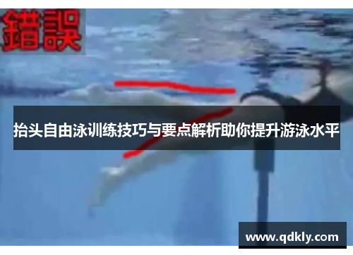 抬头自由泳训练技巧与要点解析助你提升游泳水平